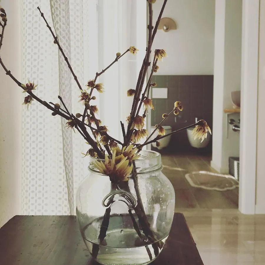 Corte Viviani Carzago Riviera Bed & Breakfast